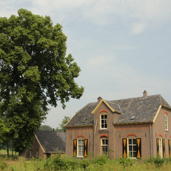 De lindeboom en de boerderij