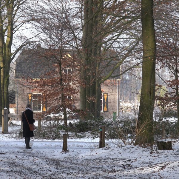 Goedenberg in de sneeuw