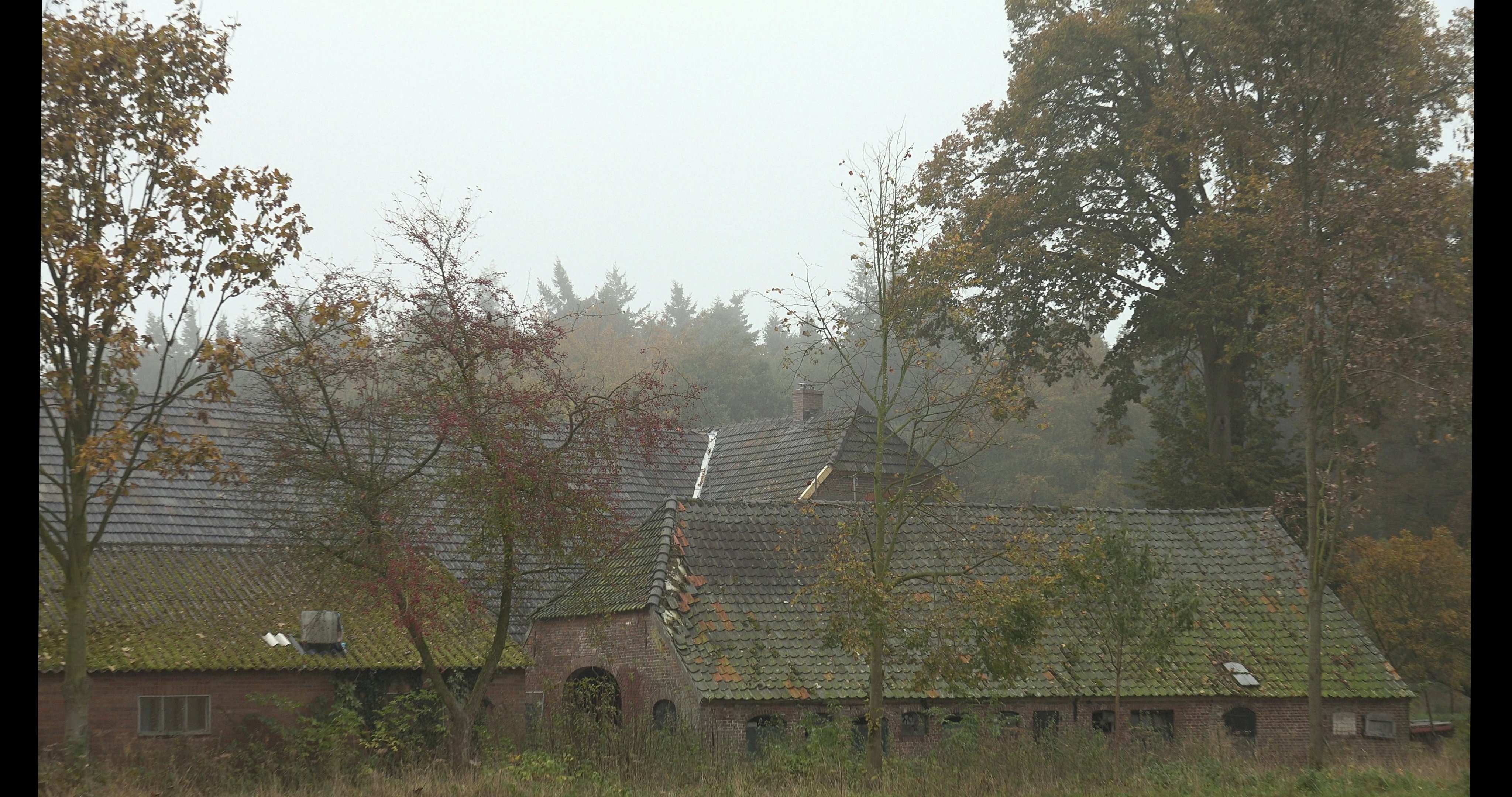 De daken van schuren en huis in het landschap.