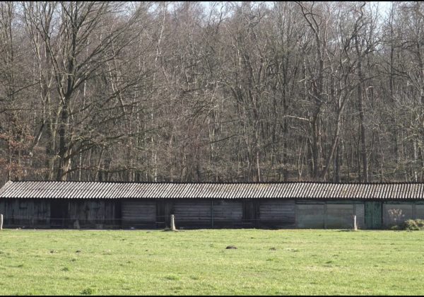 Landelijk Doetinchem bij Hagen.