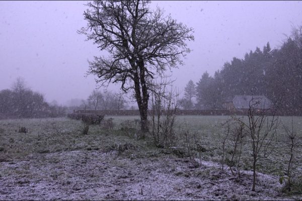 Sneeuw in Hummelo