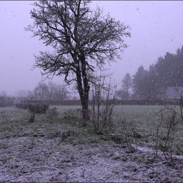 Sneeuw in Hummelo