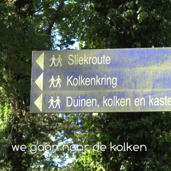 Het sterrebos en de kolken